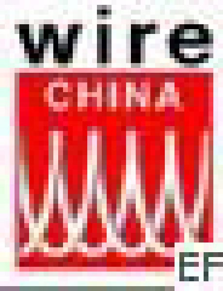 2008中國國際線纜及線材展覽會