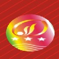 2009第五屆山西城市照明LED霓虹燈展覽會(huì)