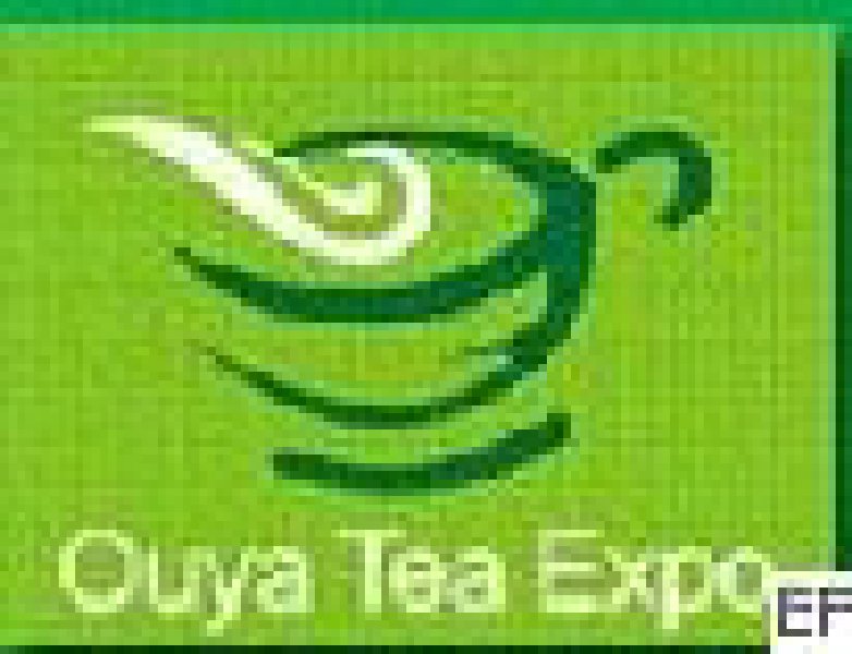 第五屆中國(鄭州)國際茶葉與咖啡展覽會