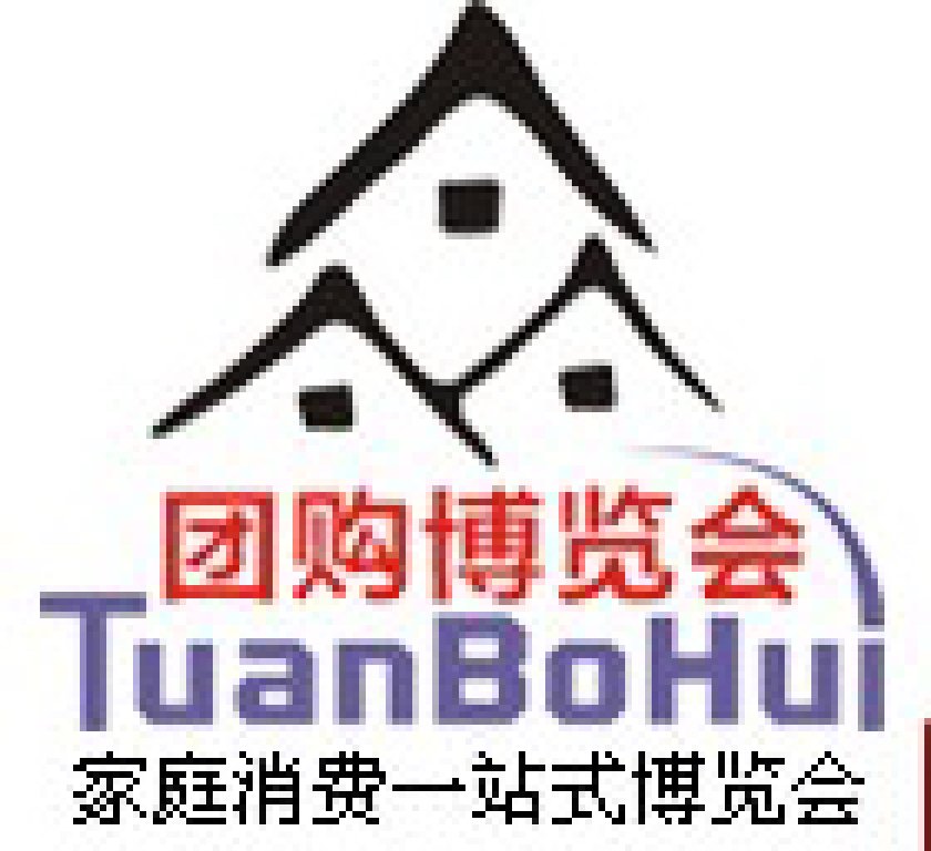 2010(廣州)首屆團博會