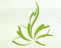 2016廣州光合茶文化博覽會<br>光合國際素食展覽會