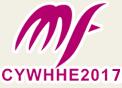 2017第5屆中國義烏時尚發制品與美發用品展